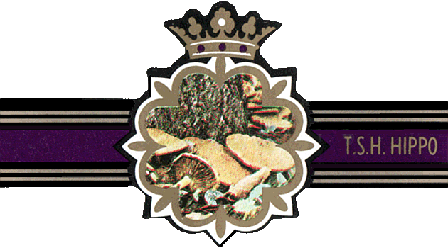 Bauchbinde
