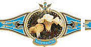 Bauchbinde