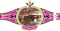 Bauchbinde