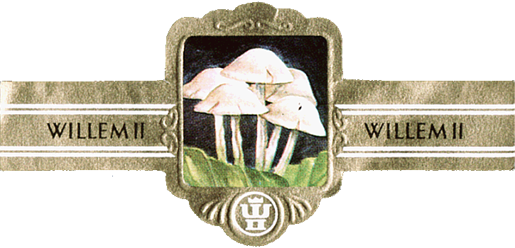Bauchbinde
