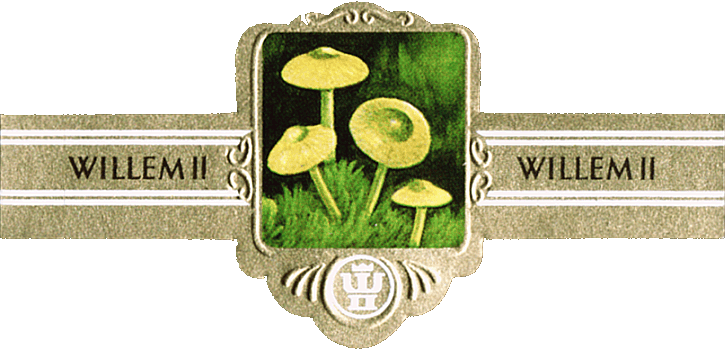 Bauchbinde