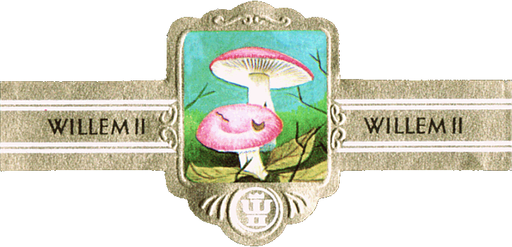 Bauchbinde