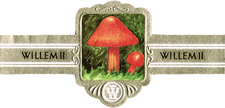 Bauchbinde