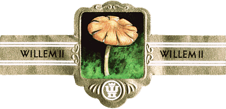 Bauchbinde