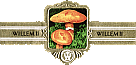 Bauchbinde