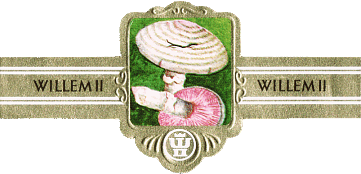 Bauchbinde