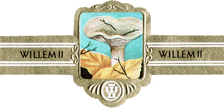 Bauchbinde