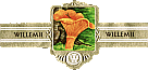 Bauchbinde