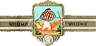 Bauchbinde