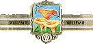 Bauchbinde