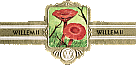 Bauchbinde
