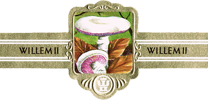 Bauchbinde