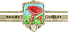 Bauchbinde