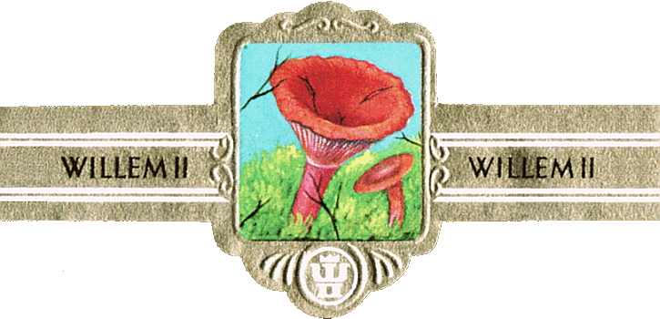 Bauchbinde