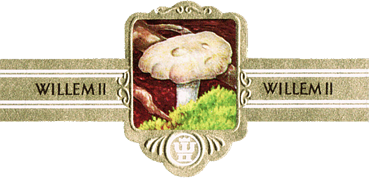 Bauchbinde