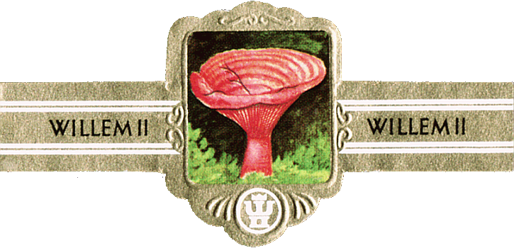 Bauchbinde