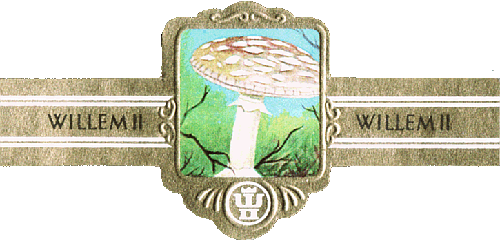 Bauchbinde
