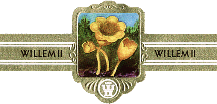 Bauchbinde