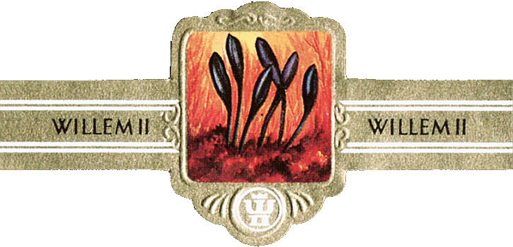 Bauchbinde