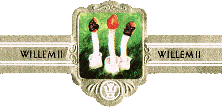 Bauchbinde