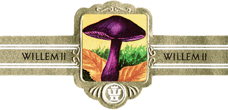 Bauchbinde