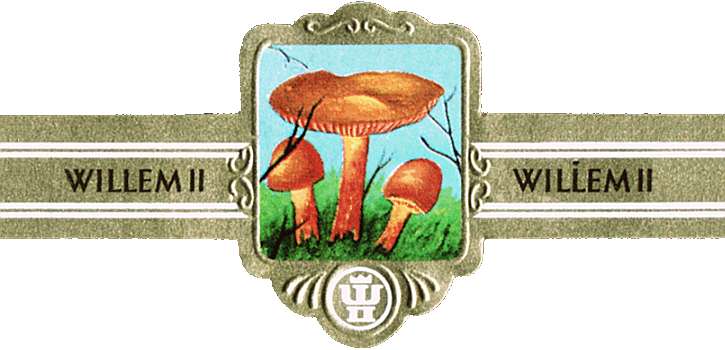 Bauchbinde