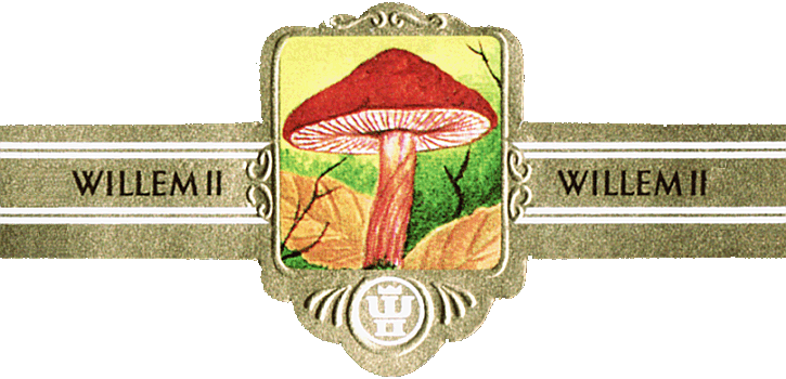 Bauchbinde