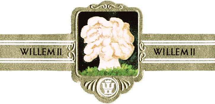 Bauchbinde