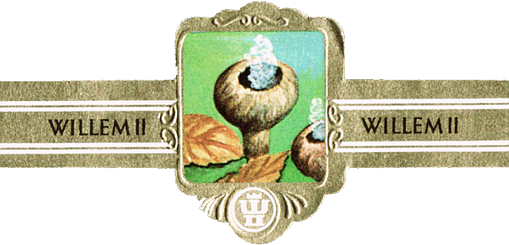Bauchbinde