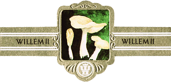 Bauchbinde