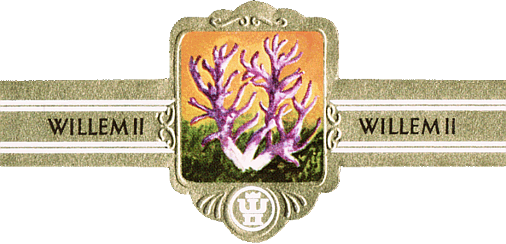 Bauchbinde