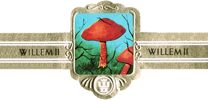 Bauchbinde