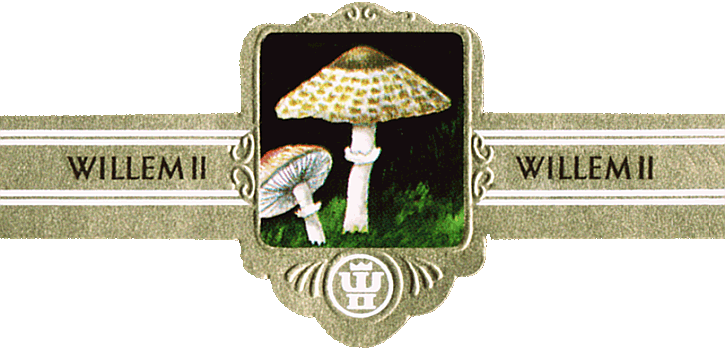 Bauchbinde