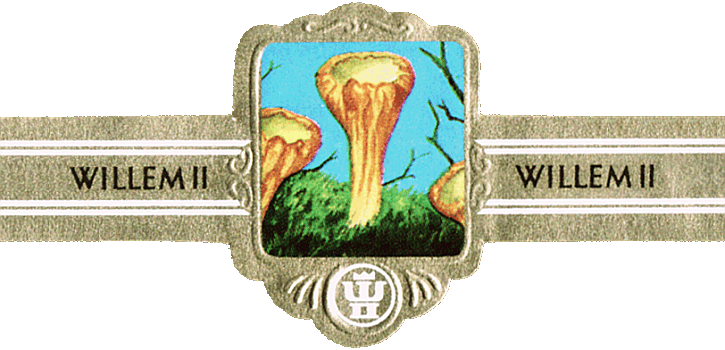 Bauchbinde