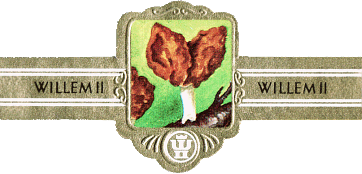 Bauchbinde