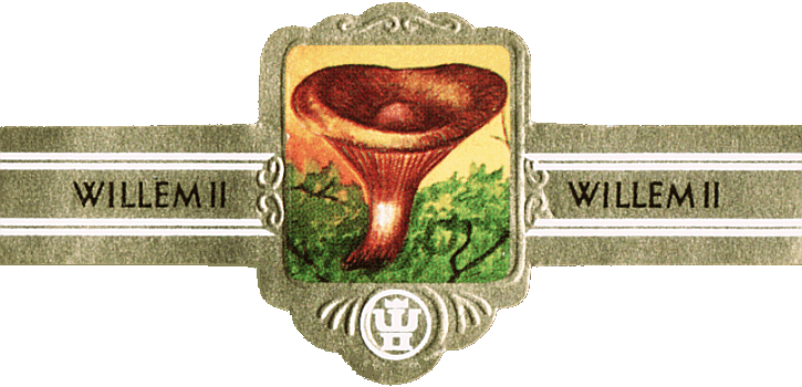 Bauchbinde