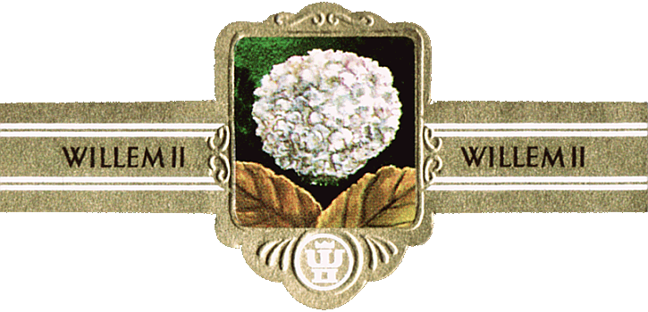 Bauchbinde