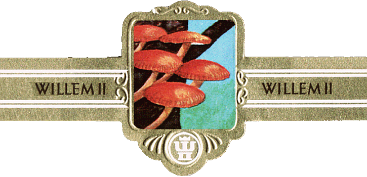 Bauchbinde