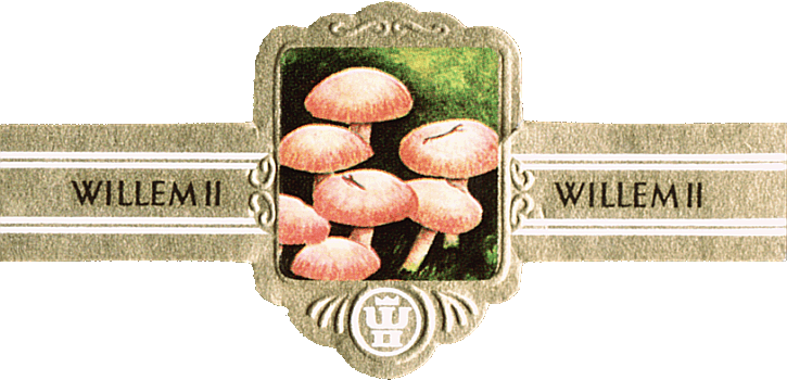 Bauchbinde
