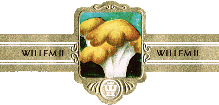 Bauchbinde