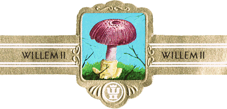 Bauchbinde
