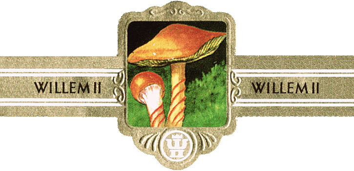 Bauchbinde