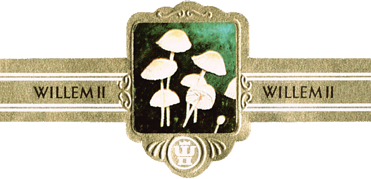 Bauchbinde