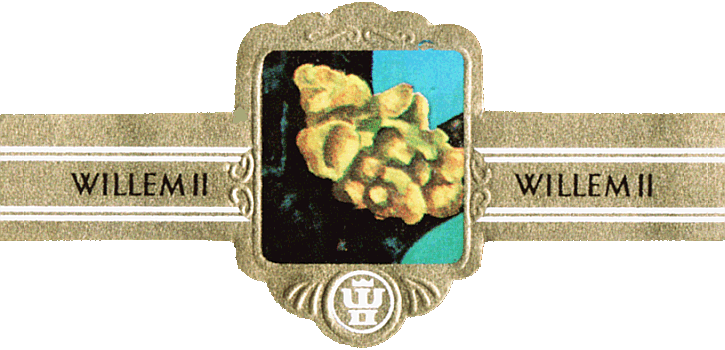 Bauchbinde