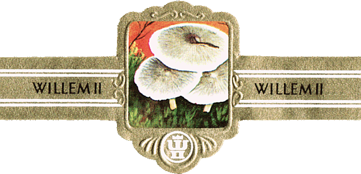 Bauchbinde