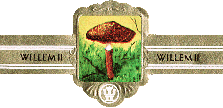 Bauchbinde