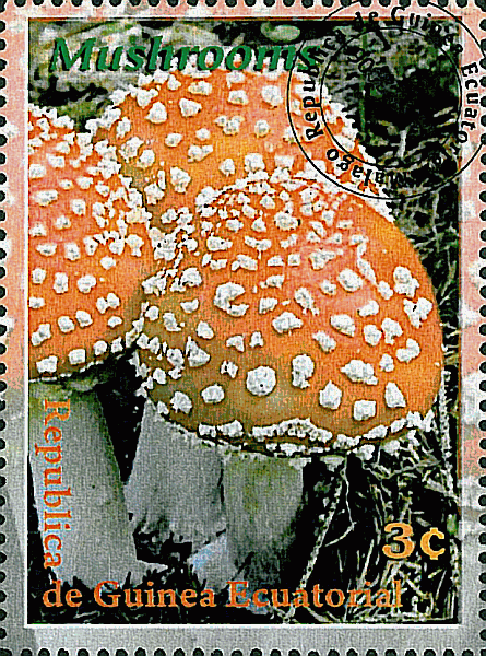 Briefmarke
