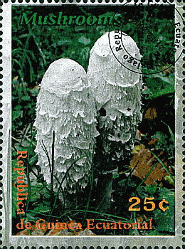 Briefmarke