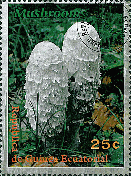 Briefmarke