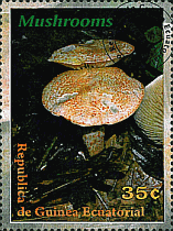 Briefmarke